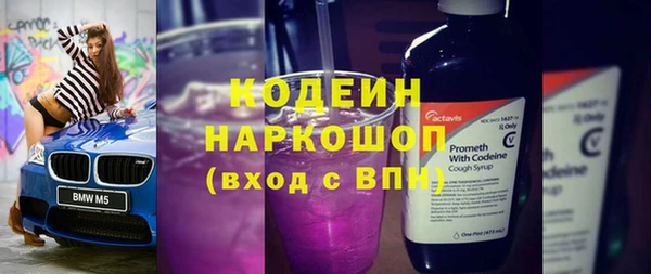 прущие грибы Абаза