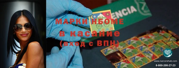 прущие грибы Абаза