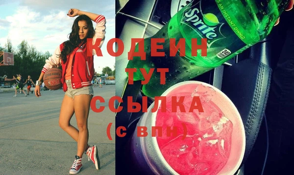 прущие грибы Абаза