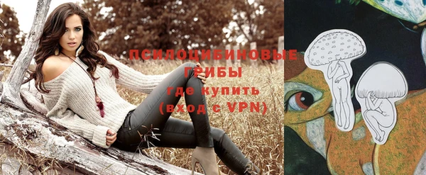 прущие грибы Абаза