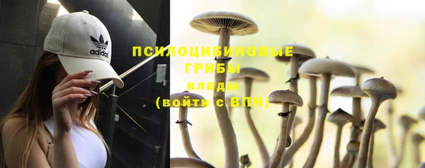 эйфоретик Абинск