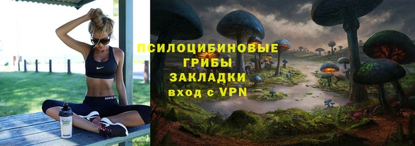 эйфоретик Абинск