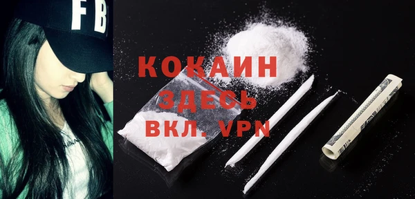 прущие грибы Абаза
