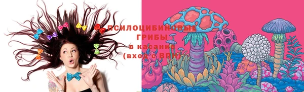 прущие грибы Абаза