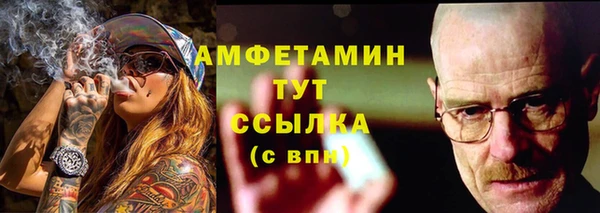 сатива Иннополис