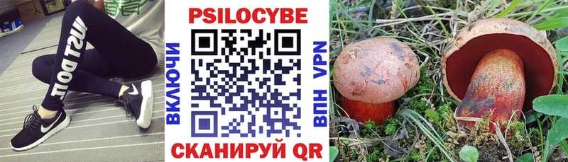 ссылка на мегу ССЫЛКА  Саранск  Псилоцибиновые грибы Magic Shrooms  наркота 