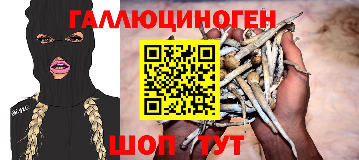 Галлюциногенные грибы мухоморы  Вход с VPN  Галлюциногенные грибы Psilocybe  Саранск 