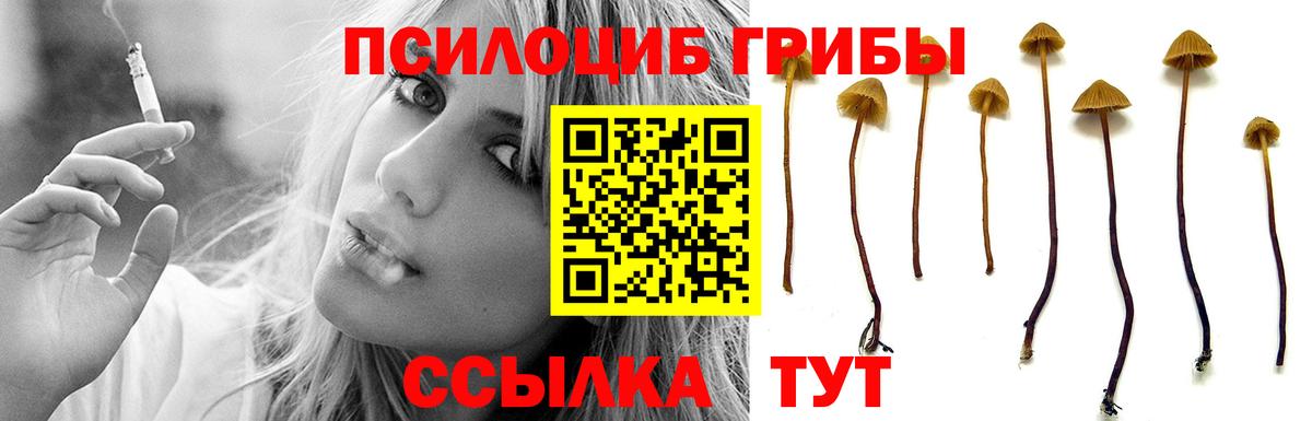 Галлюциногенные грибы MAGIC MUSHROOMS Саранск